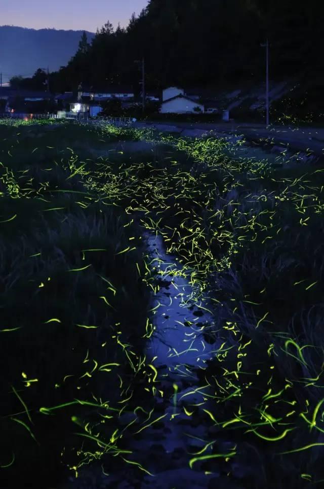组装机械章鱼龙