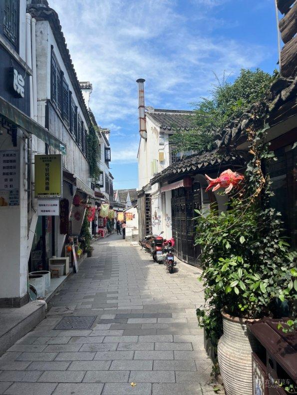 春雨直播app
